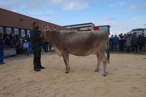 Schneuter jngere Edgard ERIMA Zwyssig Fredy